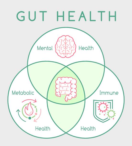 Role of Gut Health
