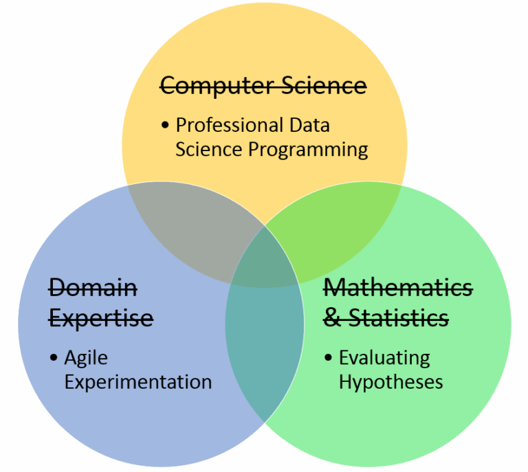 The Role of Data Scientists